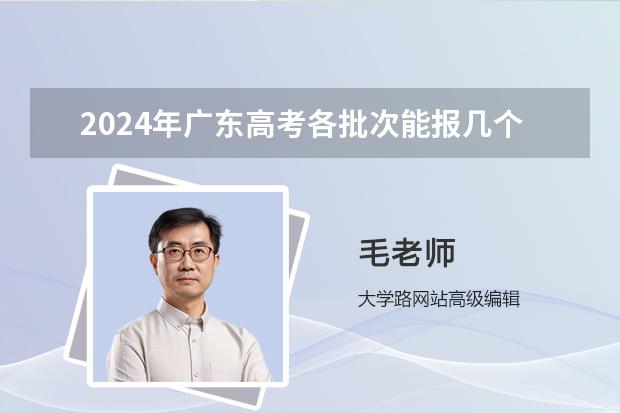 2024年广东高考各批次能报几个志愿